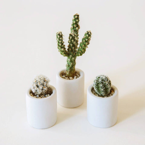 Tiny Pot - White