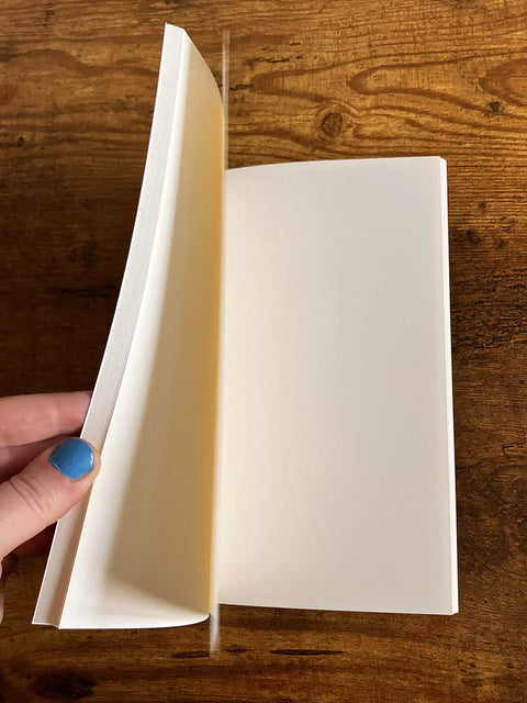 Hummingbird Notebook: 5.5x8.5