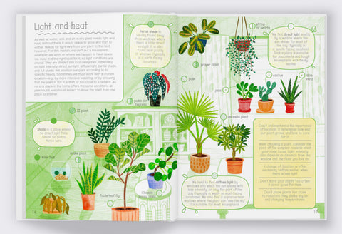 How Not to Kill Your Plant