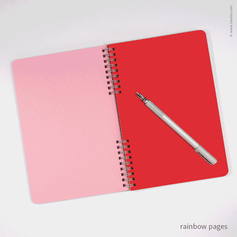 Big Burst Spiral Notebook with Mulberry Cover and Silver Ink: Blank