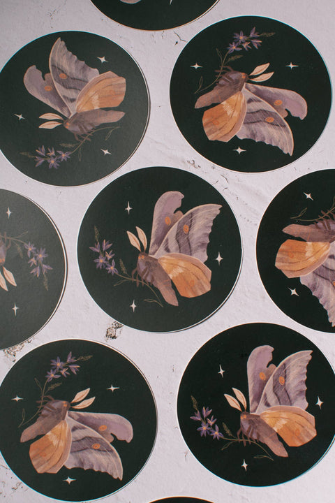 Wildflower Moth 3" Vinyl Sticker