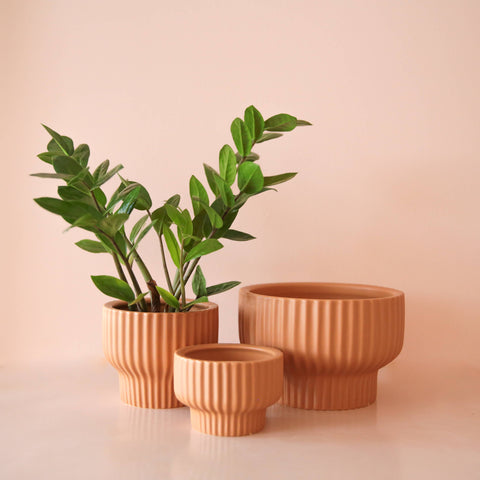 Presley Pedestal Pot - Ginger: 5 inch