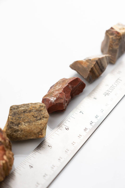 Petrified Wood