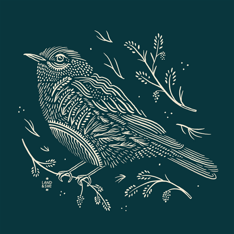 Mountain Bluebird: 8x8