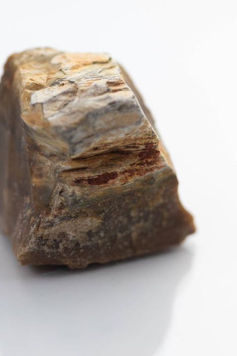 Petrified Wood