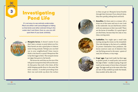 Be a Nature Explorer! Outdoor Activities and Adventures