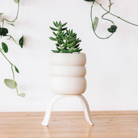 High Rise, Wiggle Planters: Small