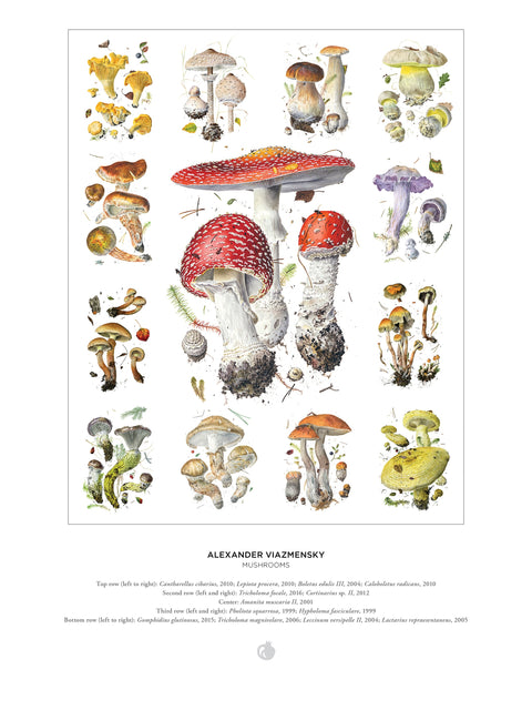 Mushrooms: Alexander Viazmensky 1000-Piece Jigsaw Puzzle
