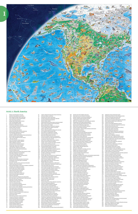 Anton Thomas: Wild World 1500-Piece Jigsaw Puzzle