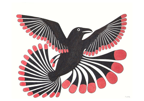 Kenojuak Ashevak: Inuit Art Drawings Boxed Notecard Assortment