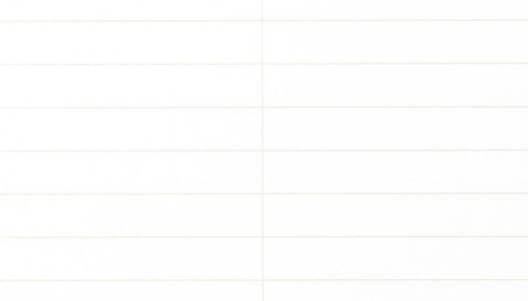 The Steno Notebook