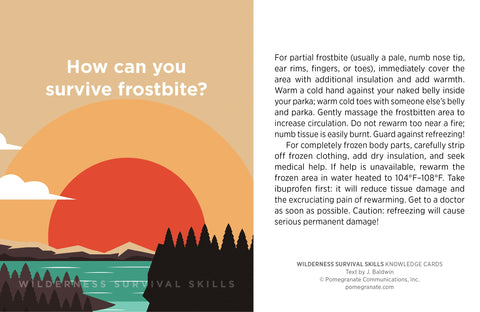 Wilderness Survival Skills Knowledge Cards