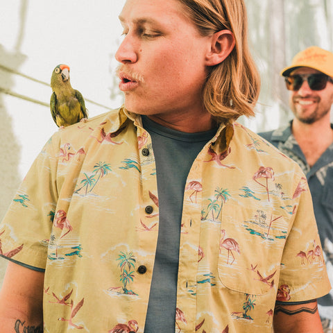 Mansfield Shirt-Flamingo