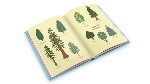 Arborama