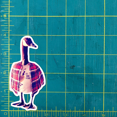 Canada Goose in Shirts funny bird sticker