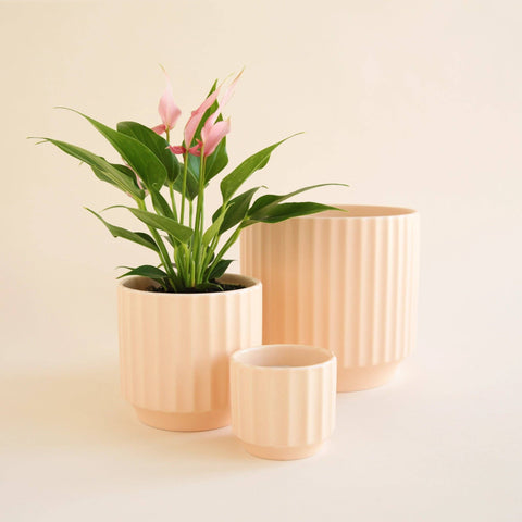 Monroe Pot - Vanilla: 6.75 inch