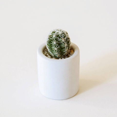 Tiny Pot - White