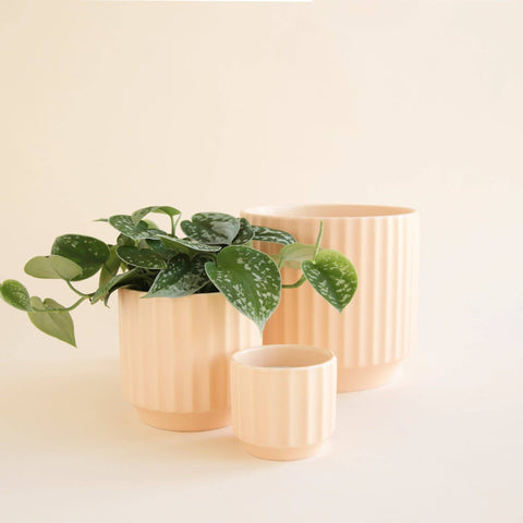 Monroe Pot - Vanilla: 6.75 inch
