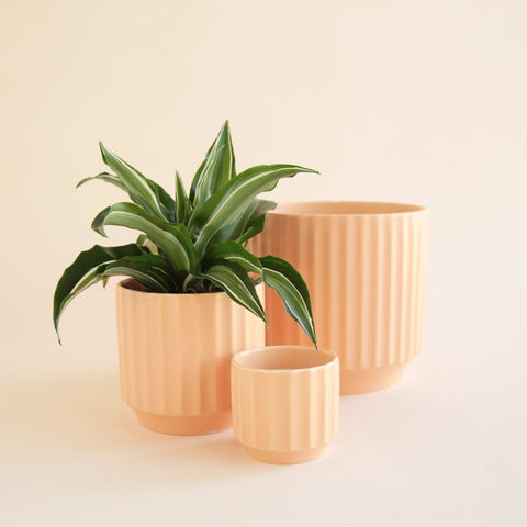 Monroe Pot - Sunset: 3 inch