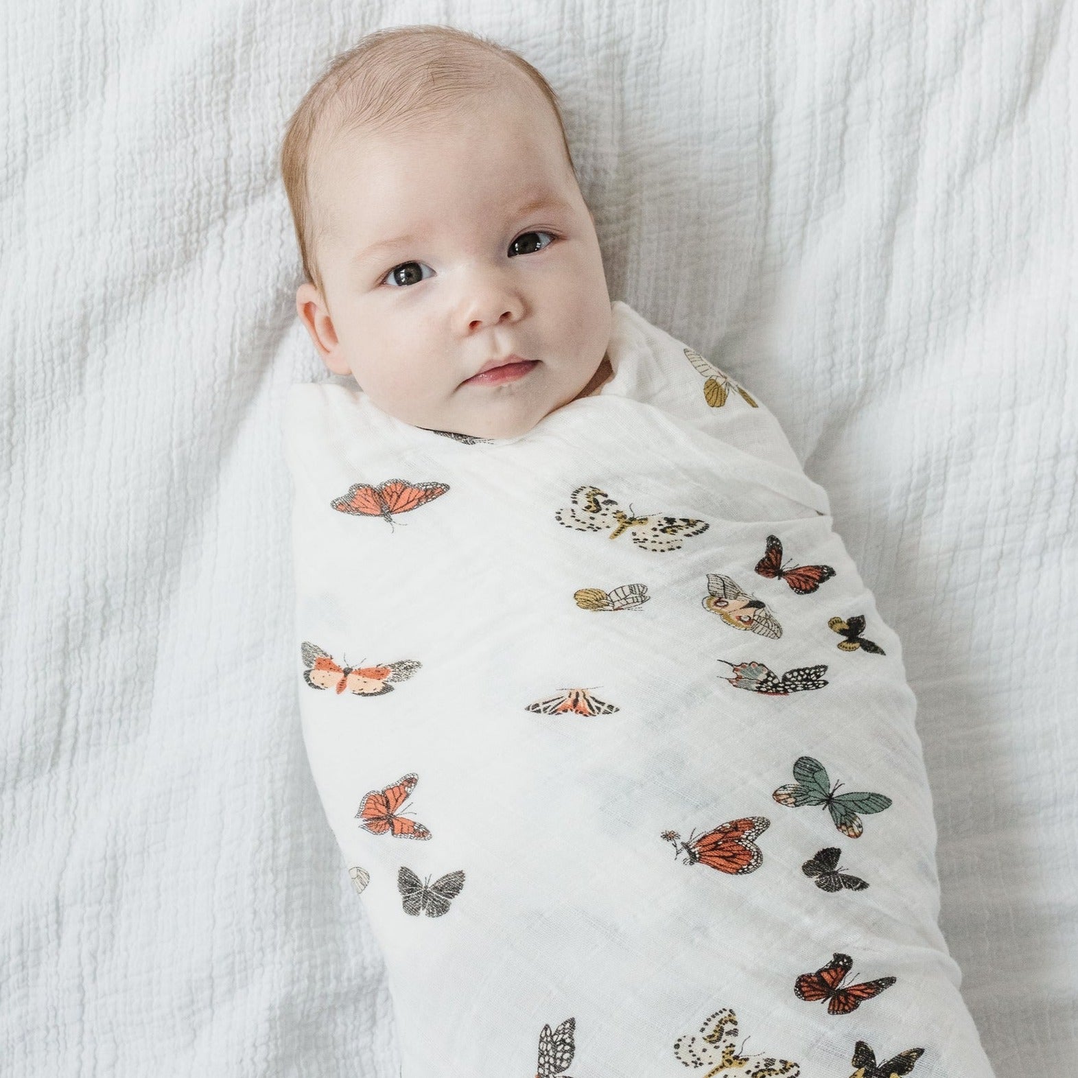 Butterfly Migration Swaddle