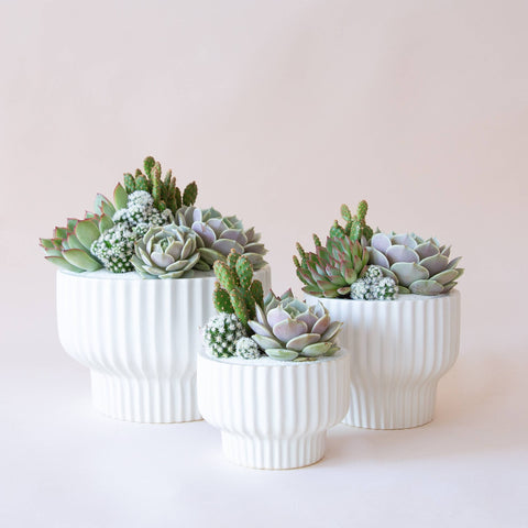Presley Pedestal Pot - White: 8 inch