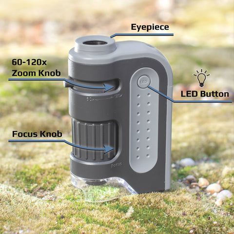 60x-120x Lighted Pocket Microscope, Portable, Educational