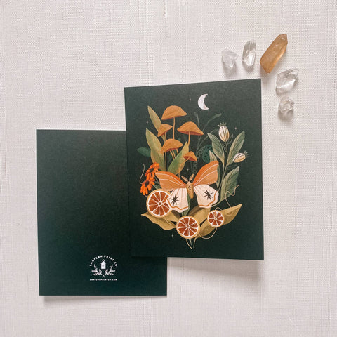 Moth and Mushrooms Greeting Card