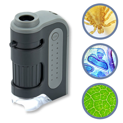 60x-120x Lighted Pocket Microscope, Portable, Educational