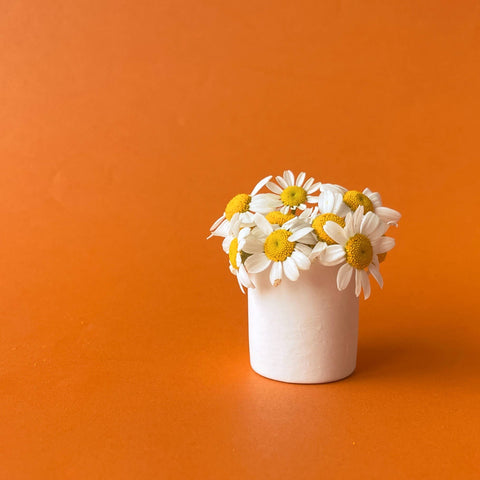 Tiny Pot - White