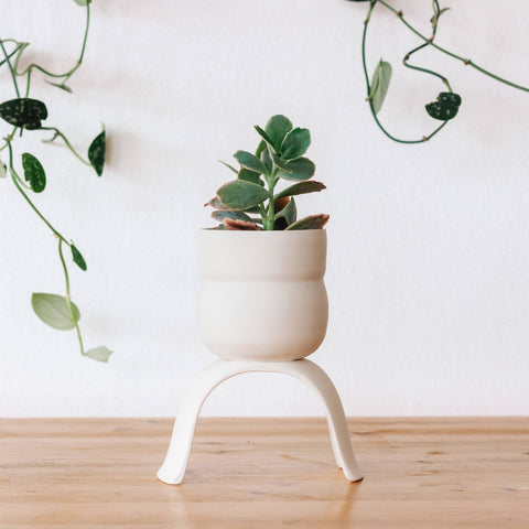 High Rise, Wiggle Planters: Small