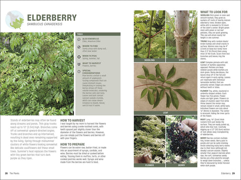 Foraging: Explore Nature's Bounty and Turn Your Foraged Finds Into Flavorful Feasts