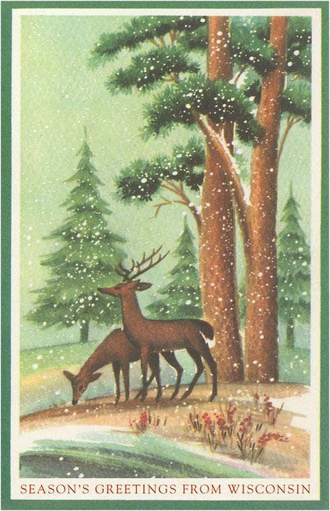 Season's Greetings from Wisconsin - Vintage Image, Postcard