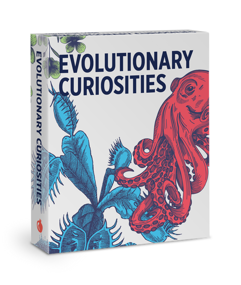 Evolutionary Curiosities Knowledge Cards