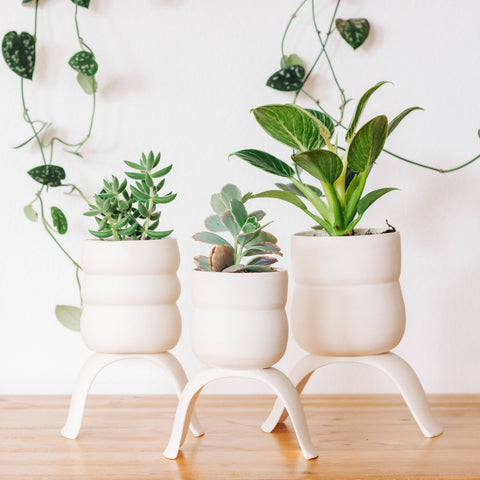High Rise, Wiggle Planters: Small