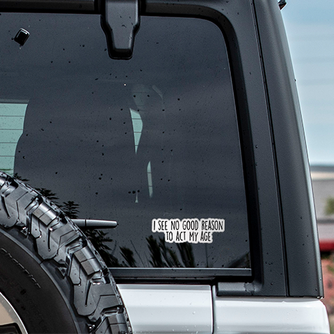 I See No Good Reason To Act My Age Funny Sticker Vinyl Decal