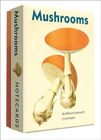 Mushrooms Notecards