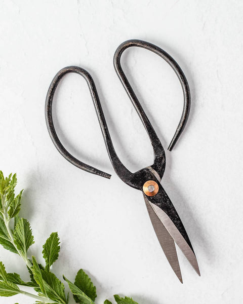 Black Metal Scissors | Vintage Inspired Shears: Medium 5 3/4"