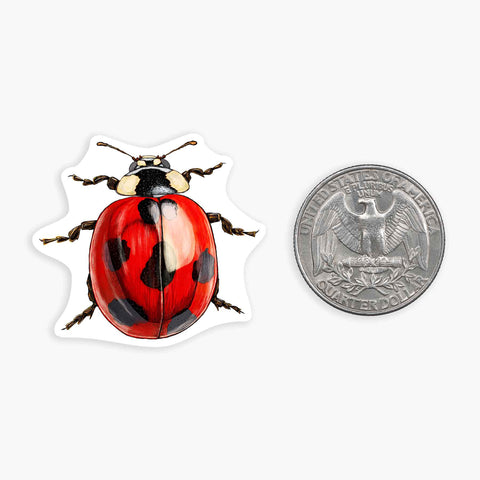 Ladybug - Mini Sticker