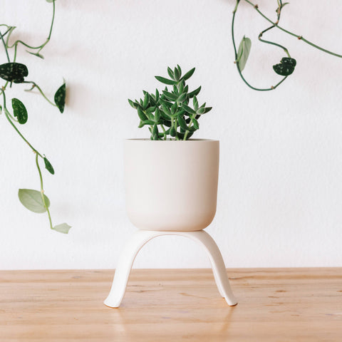 High Rise, Classic Planters: Large (4.5")