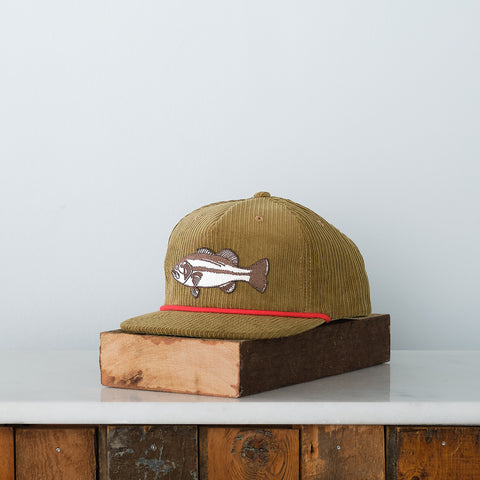 Bass Fish Patch Snap back, Olive Cord