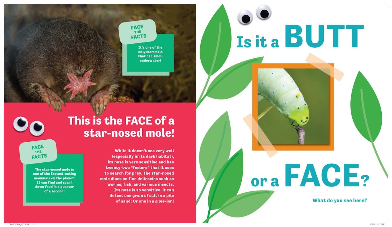 Butt or Face?: A Hilarious Animal Guessing Game Book for Kids