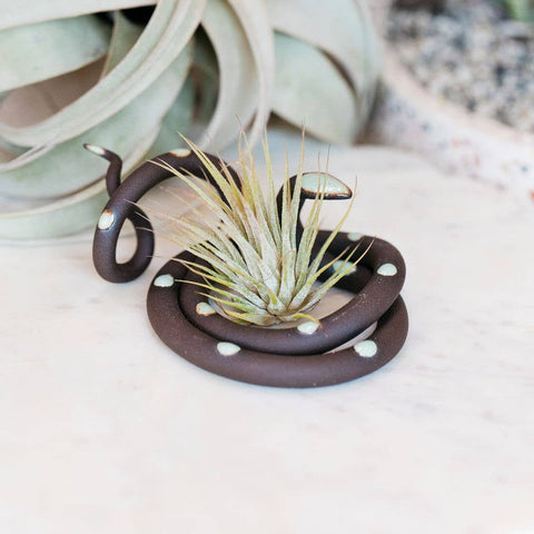 Medium Ceramic Snake: Sylvia / Without Plant
