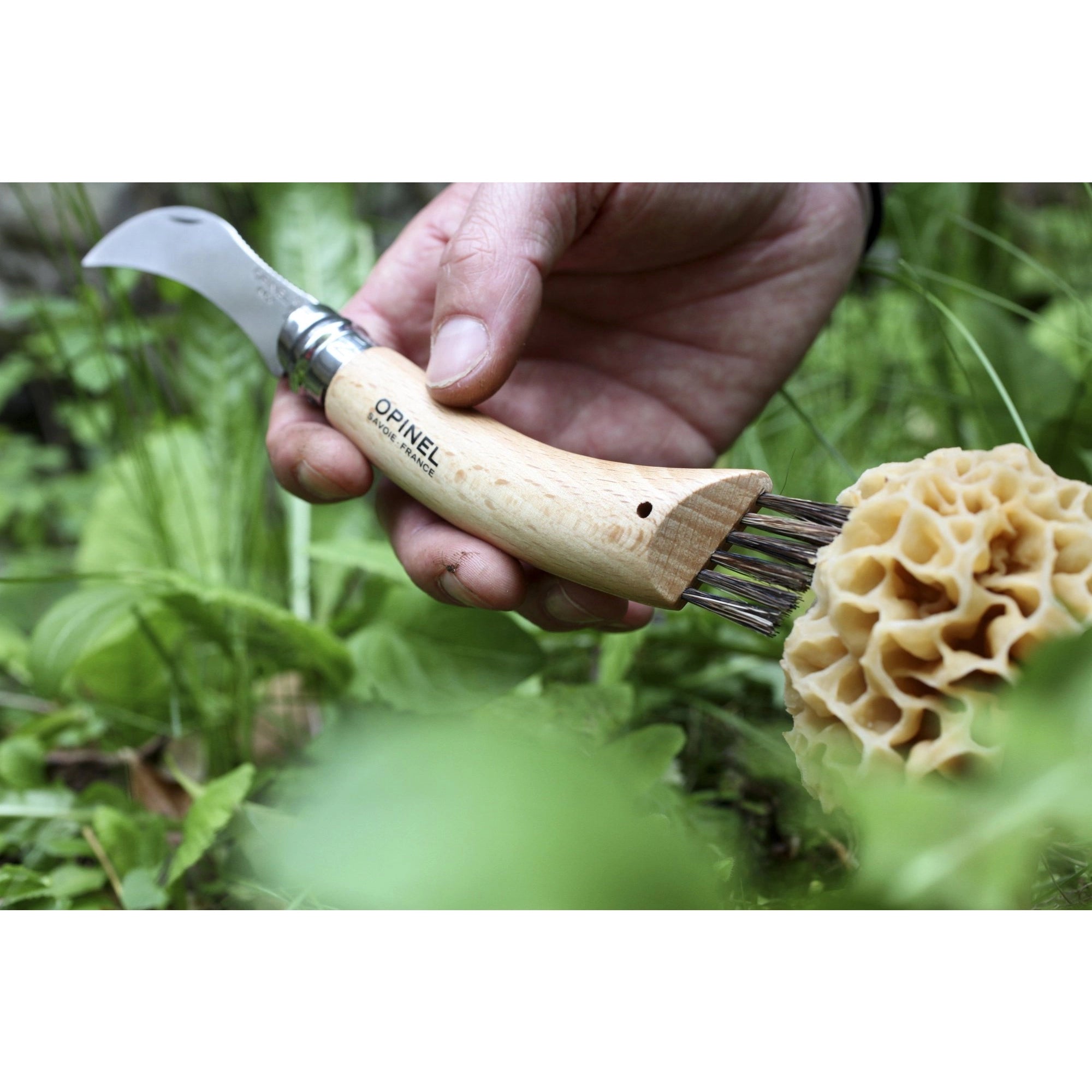 N°8 Mushroom Knife with Brush