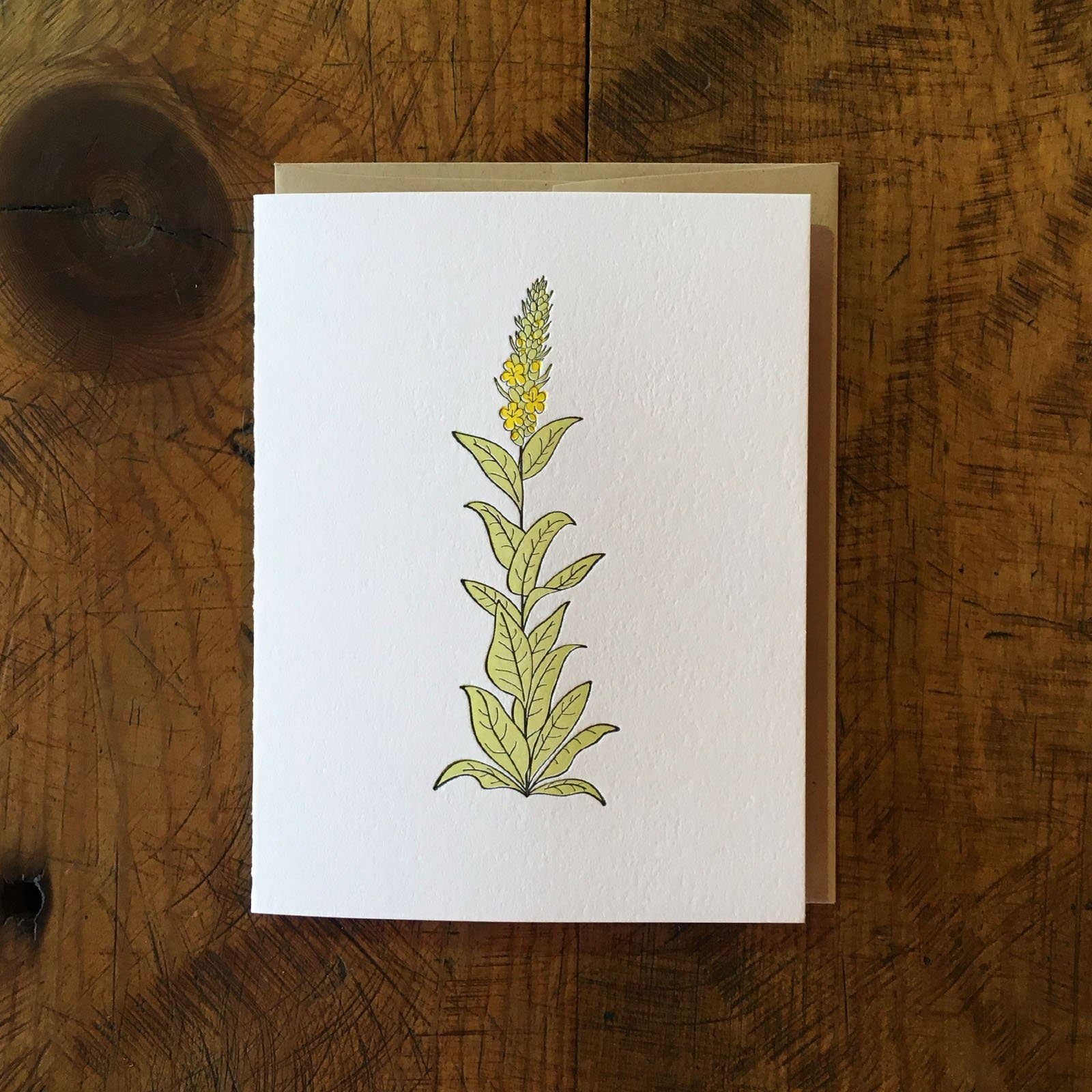 Mullein Wildflower Letterpress Card
